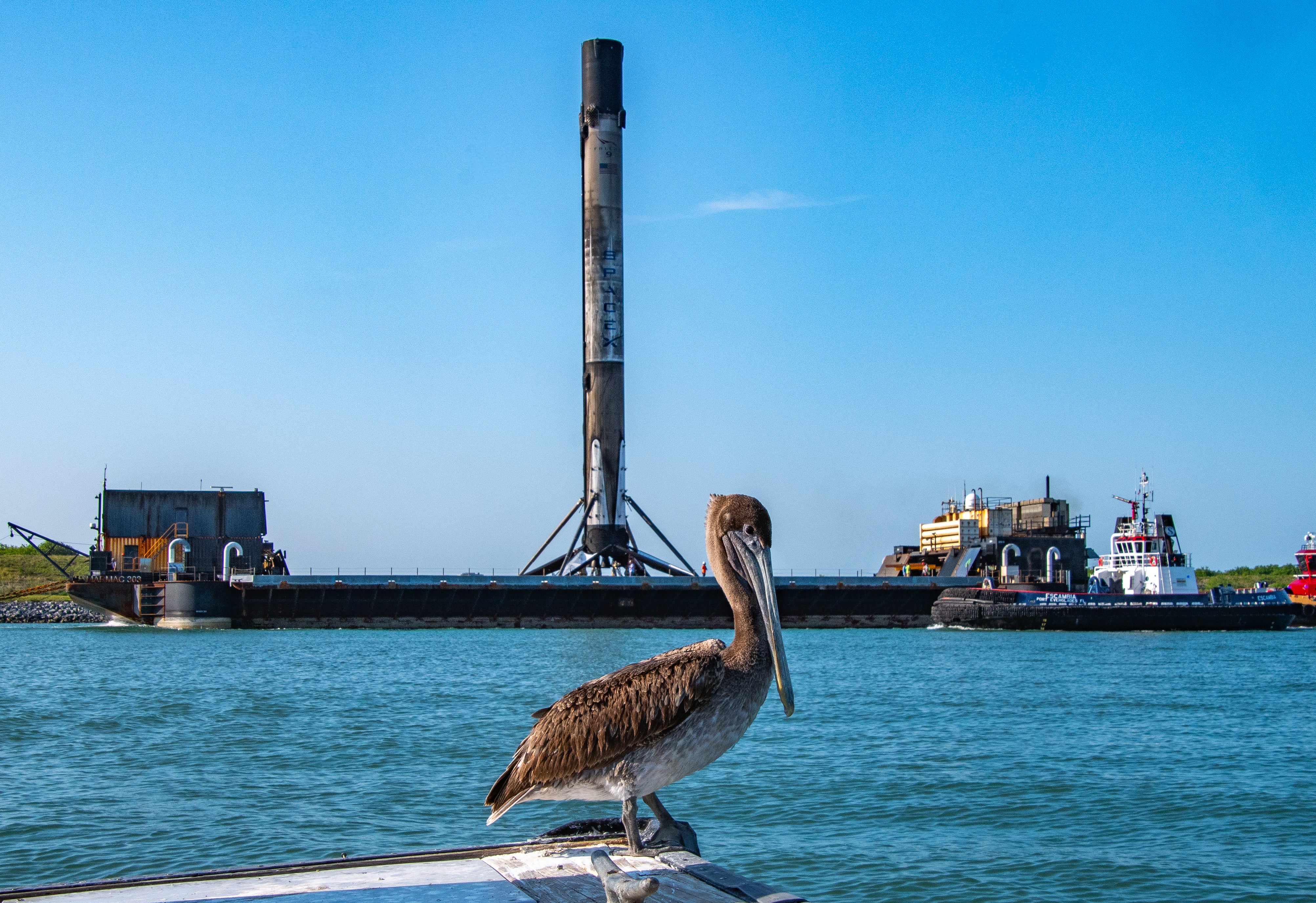 Two Birds at the Port - Metal Print