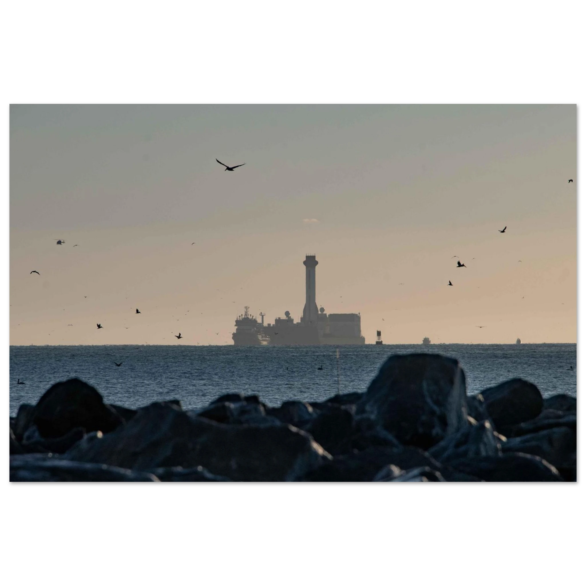 54f3e420-c190-4672-9264-a8b597c9c0d1