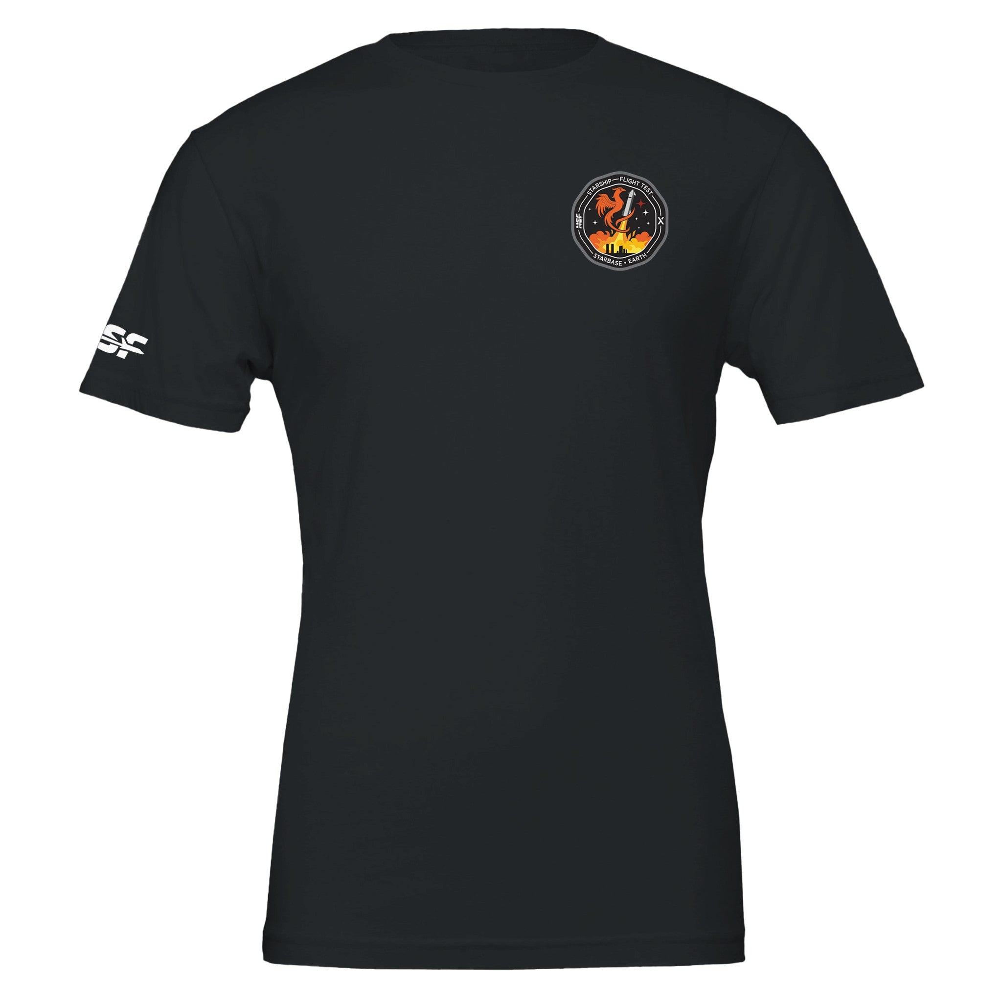 Starship Orbital Flight Test