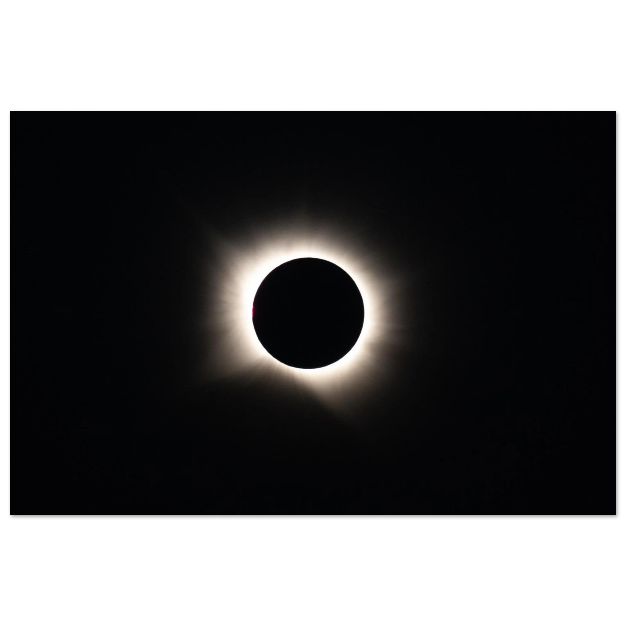 8e578055-b23f-4f0c-8bfa-346dfd263692
