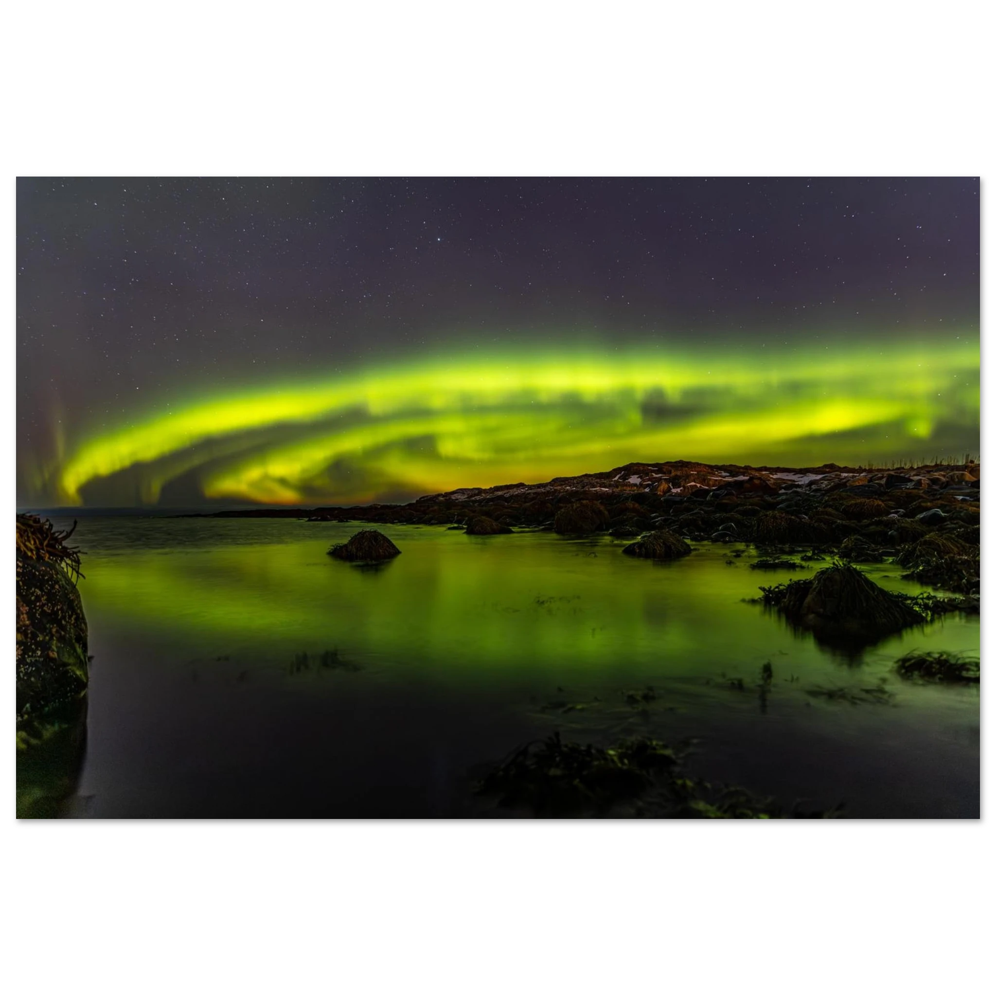 989e7397-a038-49d4-b977-5d7804b2eea2