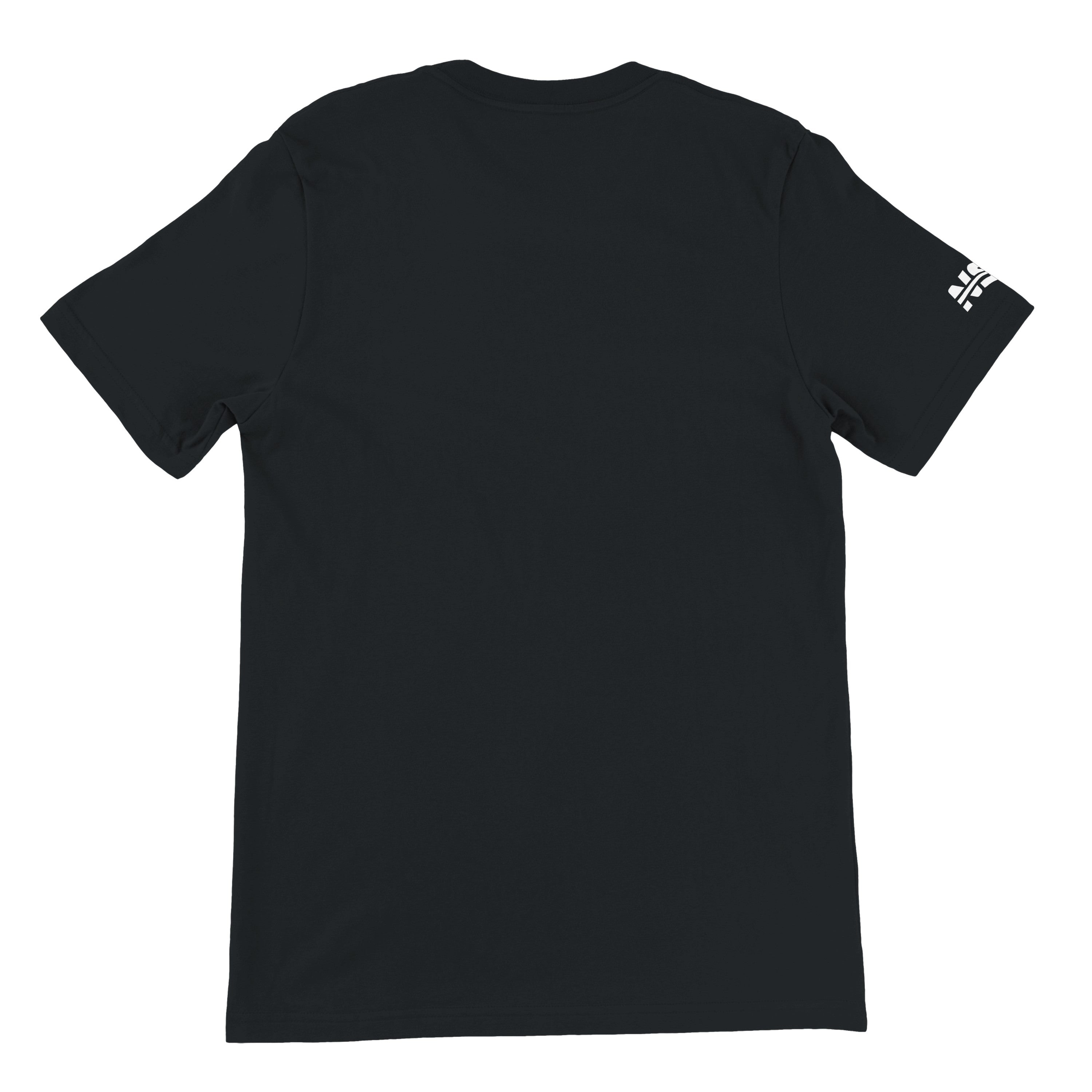 SpaceX Starship Flight 13 - Unisex T-shirt