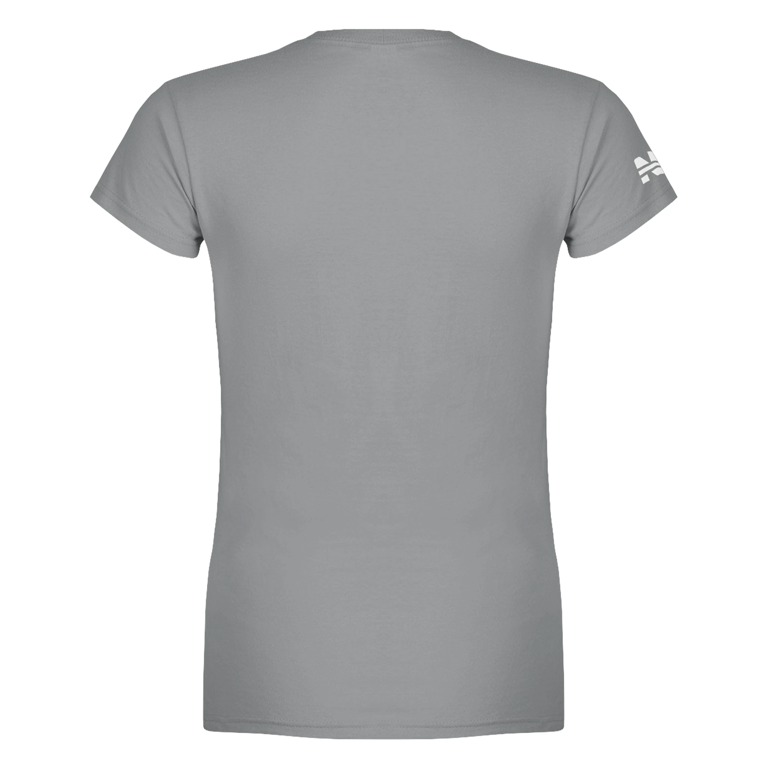 SpaceX Starship Flight 13 - Women's T-shirt