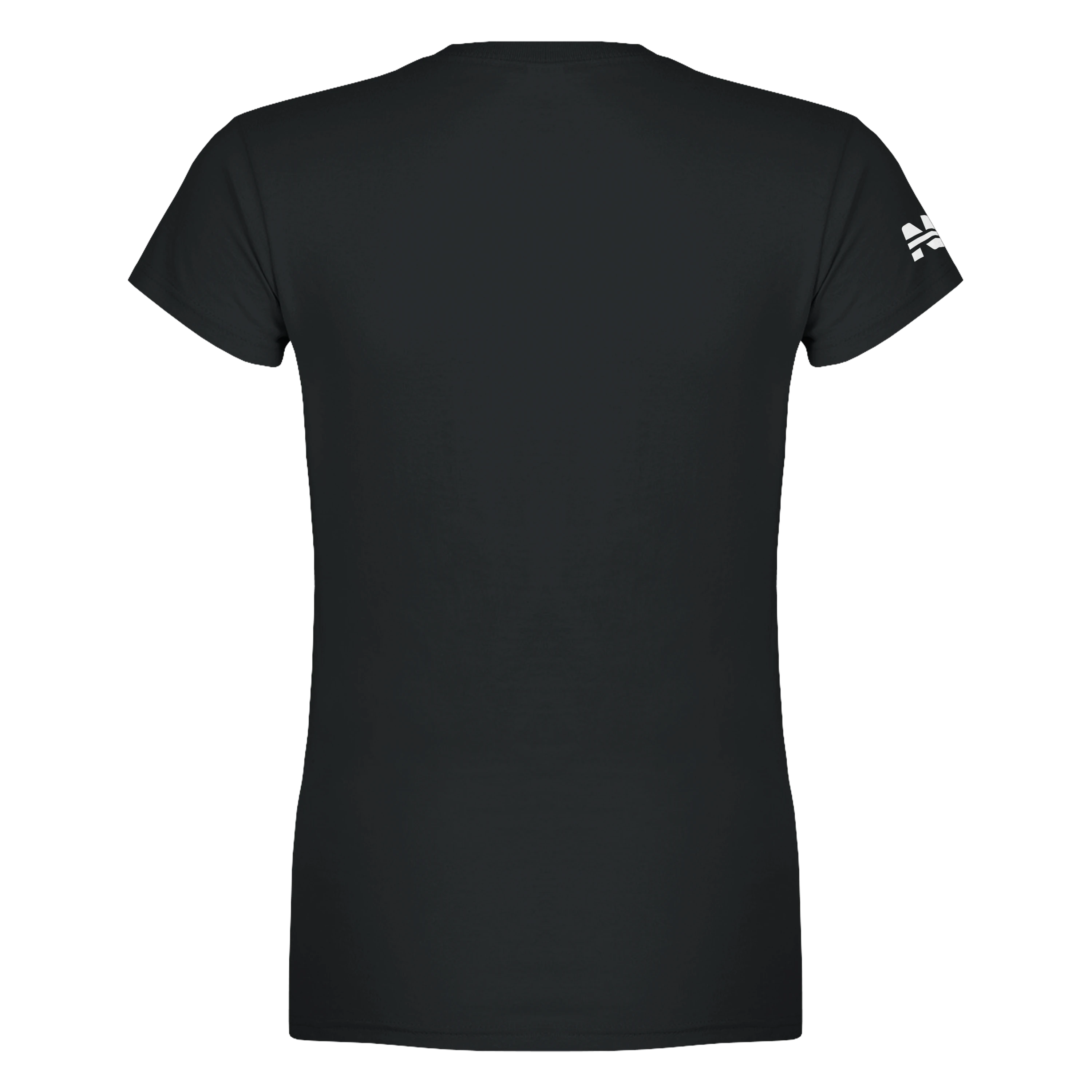 SpaceX Starship Flight 13 - Women's T-shirt